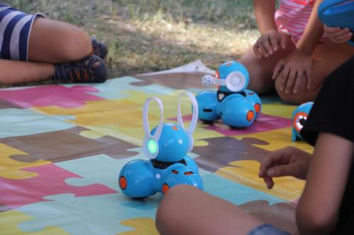 IMG 8992 1
